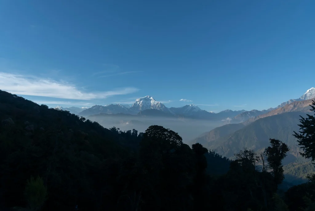 mounatin view with green lush forest from ghorepani village which is on the way to poon hill.