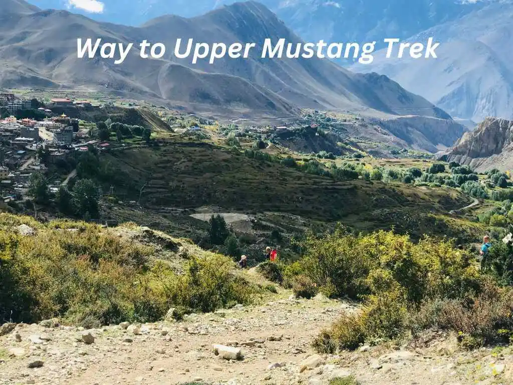 green lush forest with hills on the upper mustang trek