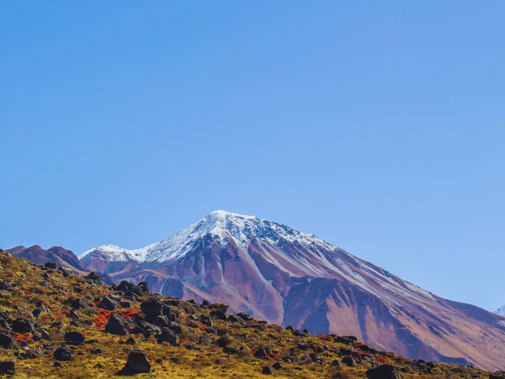 kyanjin ri on the langtang valley trek