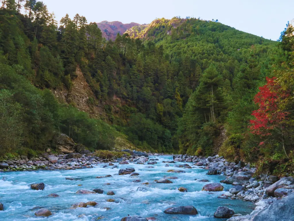 dudh koshi river flowing in between green forsets